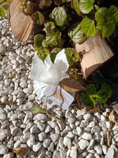 Regalo para invitados, envuelto en papel, colocado sobre piedras blancas y rodeado de plantas verdes.